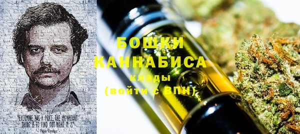 прущие грибы Майский