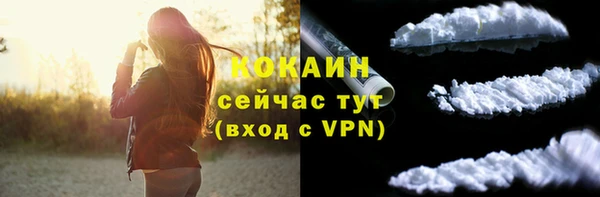 прущие грибы Майский