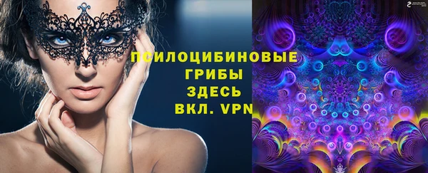 трава Магадан