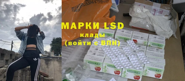прущие грибы Майский