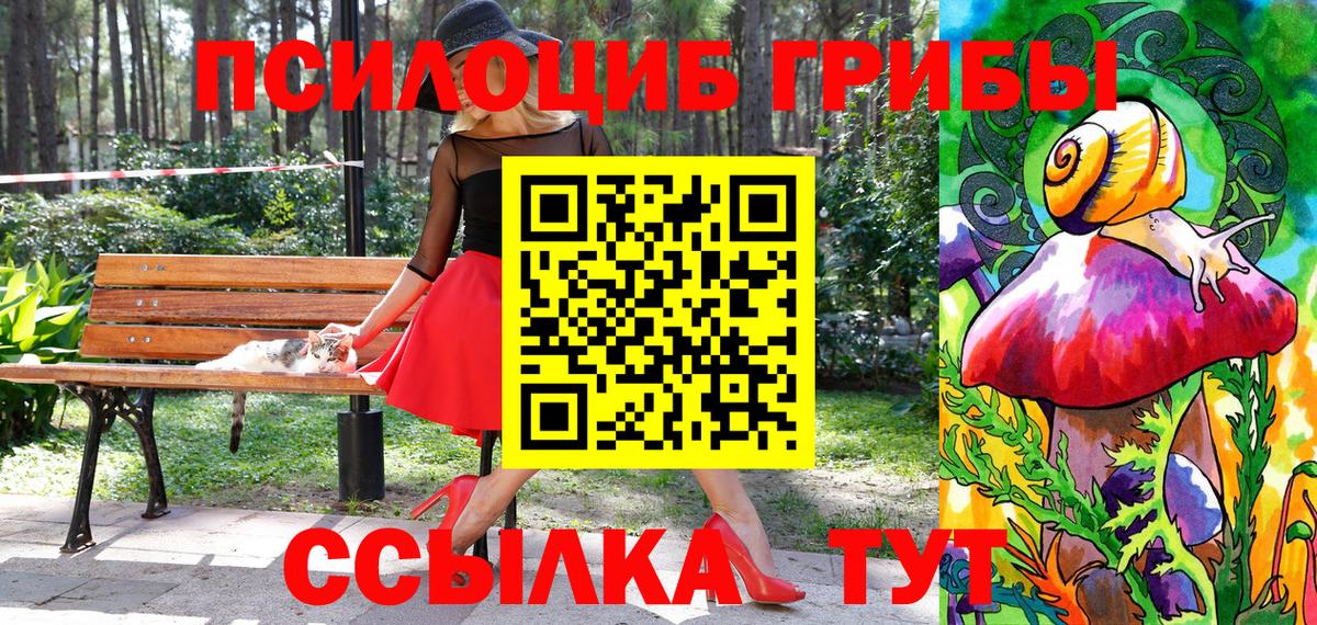 Псилоцибиновые грибы мицелий  Вход с VPN  Галлюциногенные грибы Psilocybine cubensis  Дубна 
